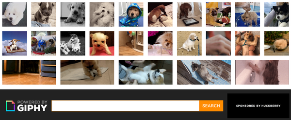 A screenshot of a website showing a collection of gifs