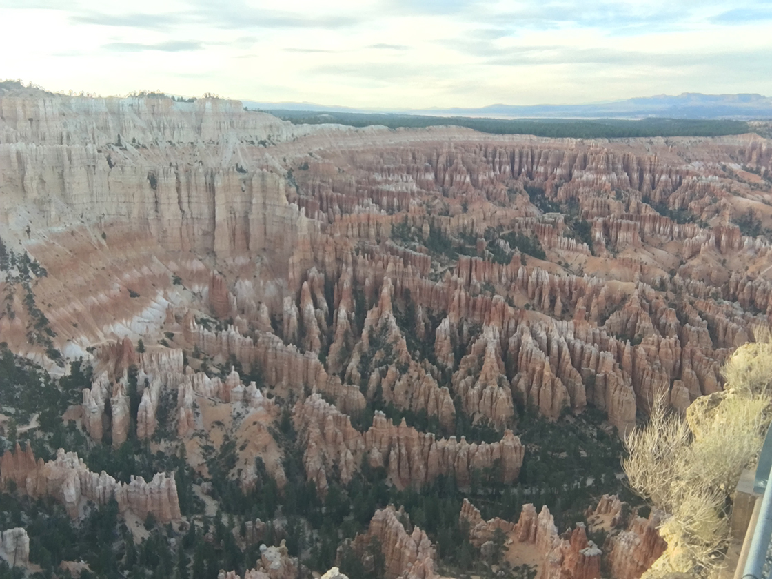 Another shot, looking down into Bryce Canyon.