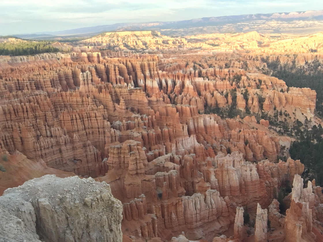 More of Bryce Canyon, showing a number of delicate spires with stratified layers of earth.