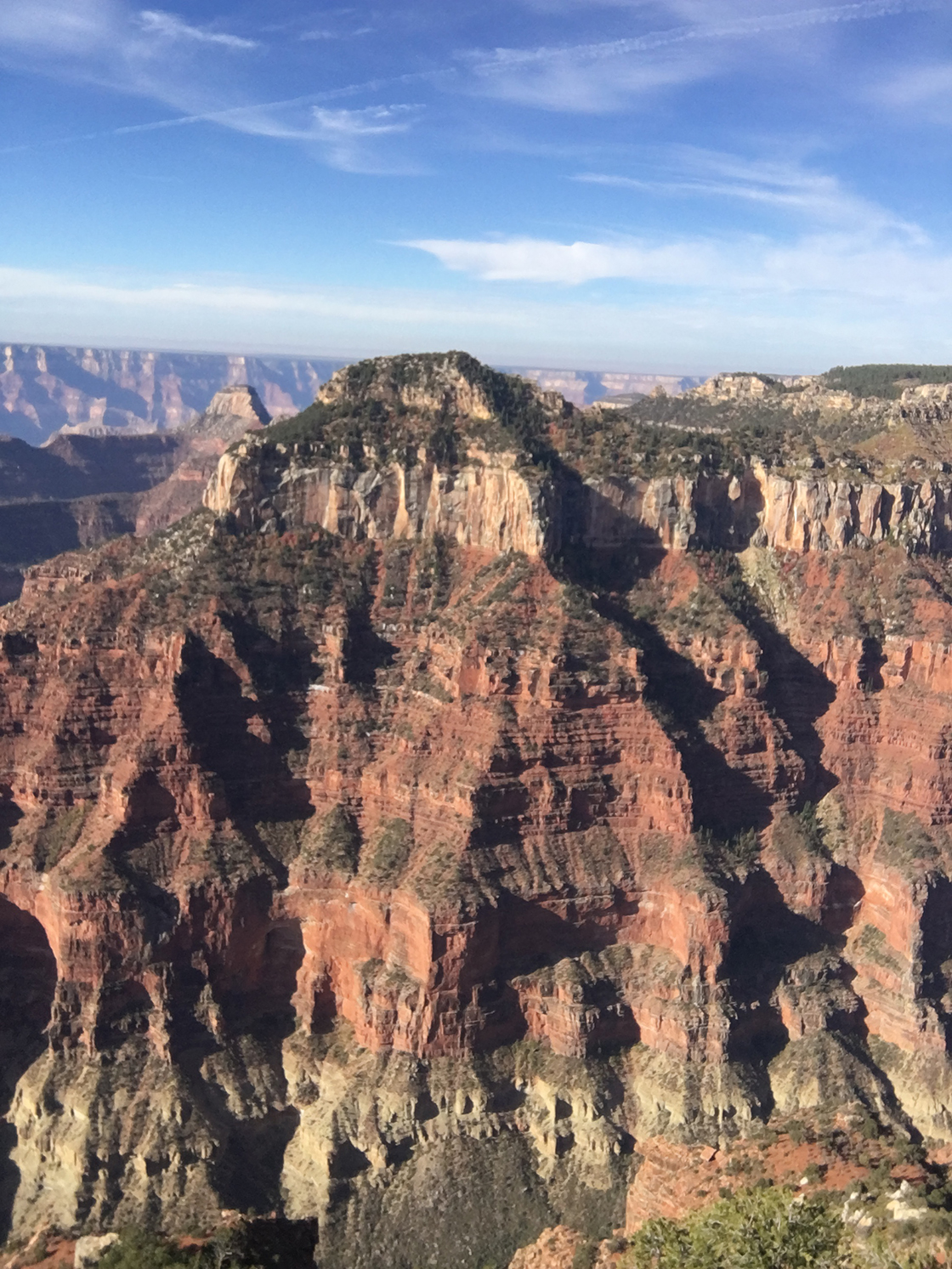 Looking into the Grand Canyon.