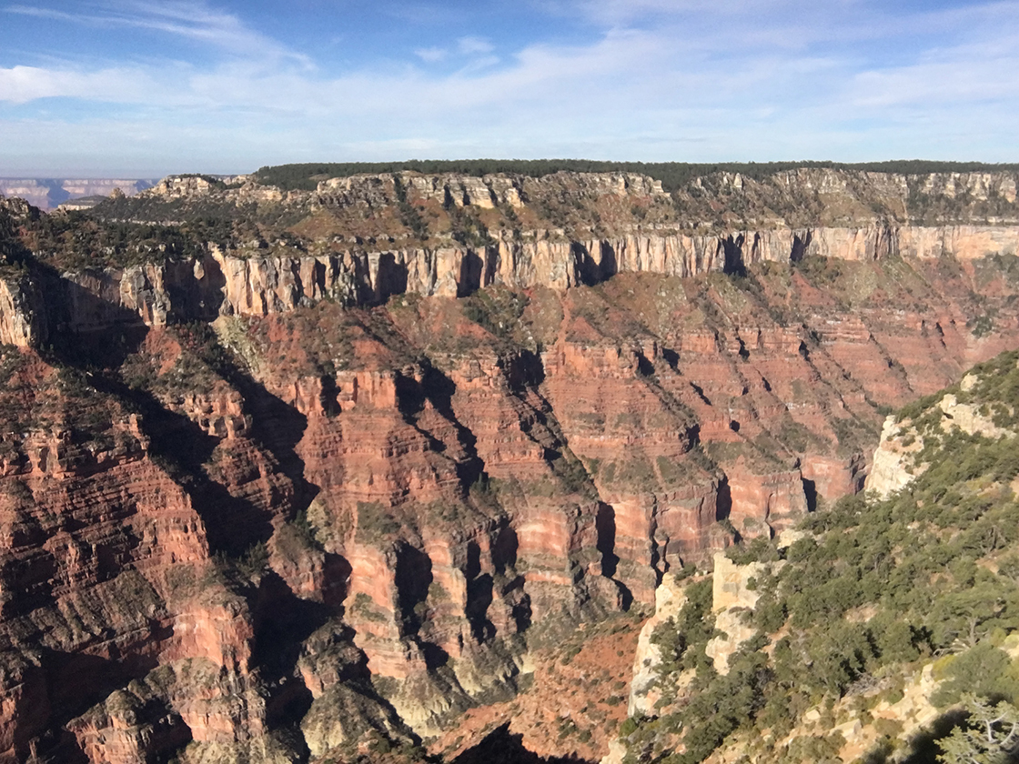 One more shot of the Grand Canyon, showing lots of sedimentary layers.